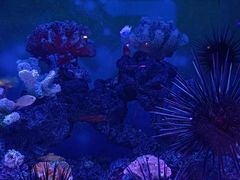 -上海海昌海洋公园