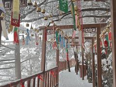-秦岭天竺山生态文化旅游景区