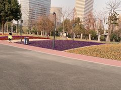 -上海山野camping·户外天幕烧烤·团建拓展营地