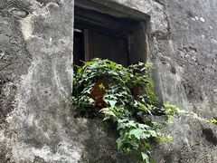 -东梓关景区村庄