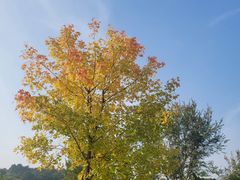 -北京西山国家森林公园