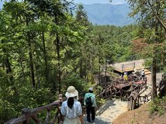 -梭布垭石林景区