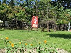-丹樱生态园
