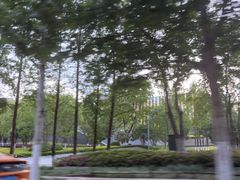 -青麦家·融合餐厅(江岛智立方店)