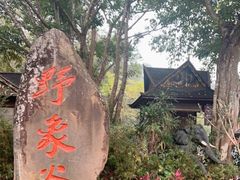 -野象谷景区