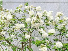 -大龙山(地铁站)