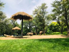 -北京野生动物园