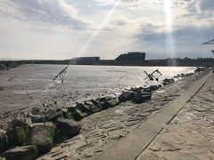 -南汇嘴观海公园