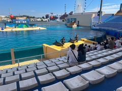 -秦皇岛乐岛海洋王国