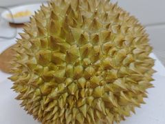 -T11生鲜超市(朝阳公园店)