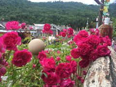 -硗碛藏寨·神木垒景区