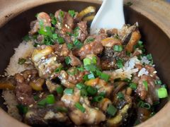 -红星光发煲仔饭(文海店)