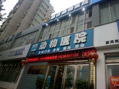 -pd派德宠物中心医院24H急重症·眼科中心·血液透析中心(嵩山北路店)