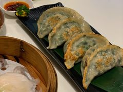 传统韭菜饺-虾饺妹·酒家(金碧店)