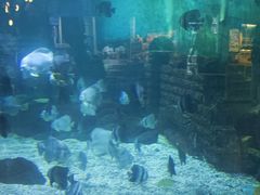 -烟台海昌鲸鲨海洋公园