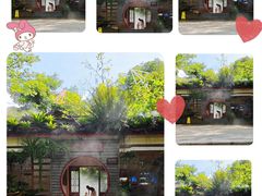 -深圳市中科院仙湖植物园