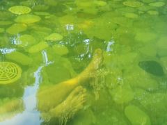 -杭州第一世界大酒店·云曼温泉