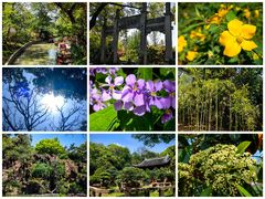 -虎丘山风景名胜区