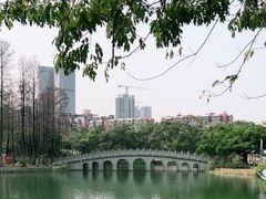 -四海公园(南山区)