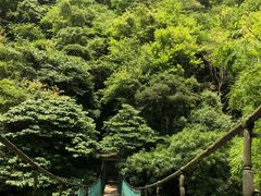 -溪口-滕头旅游景区