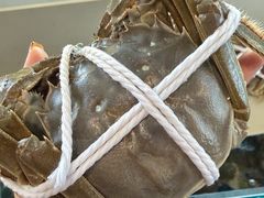 -品鲜村农家菜·阳澄湖大闸蟹(总店)