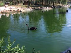 -昆明动物园