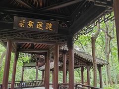 -上海佘山国家森林公园天马山园