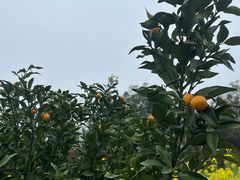 -千龙湖生态旅游度假区