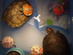 -云南艺术学院(呈贡校区)