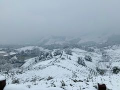 -帐篷客·溪龙茶谷度假酒店