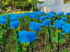 -南山图书馆(常兴路店)