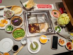 -海底捞火锅(赛格国际购物中心店)