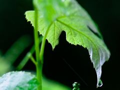 -张钰强中医正骨推拿连锁(唐家人才公寓店)