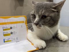 -四月宠物医院·猫专科·心脏专科·内科(转塘店)