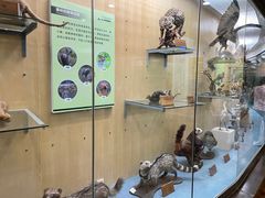 -陕西自然博物馆