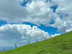 -大姆山草场