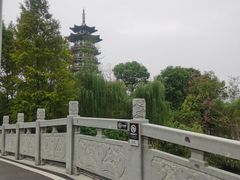 -洋湖国家湿地公园