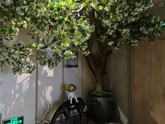 -东吴水韵(吴中店)