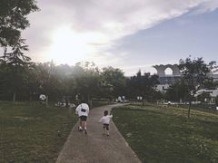 -灞河西岸滨河公园