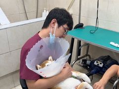 -美联众合爱康动物医院•复杂内科•肿瘤科•牙科•腔镜诊疗中心