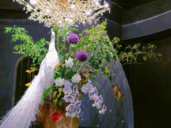 -滇野云南野生菌餐厅(陕西南路店)