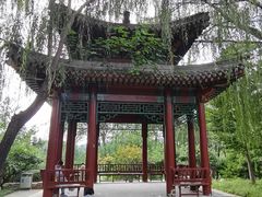 -北坞公园