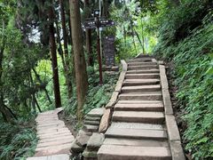 -青城山
