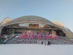 -沈阳奥体冰雪嘉年华