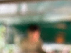 -热带雨林自然公园