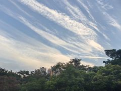 -深圳国际园林花卉博览园