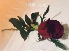 -虎门国际购物中心