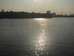 -大湾区中央湿地公园