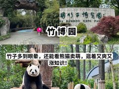 -阿露佳·舌尖上的安吉菜