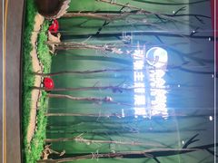 -昆明大悦城未来动物城(螺蛳湾中心店)